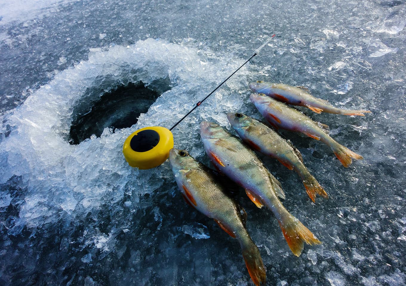 Ice fishing