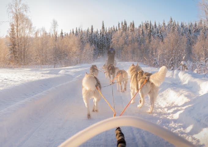 Husky