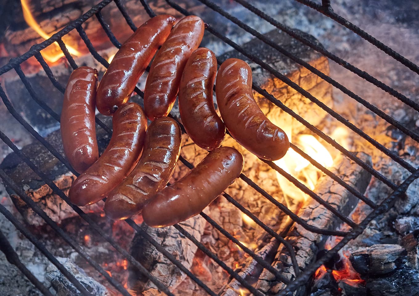 Northern lights and bbq