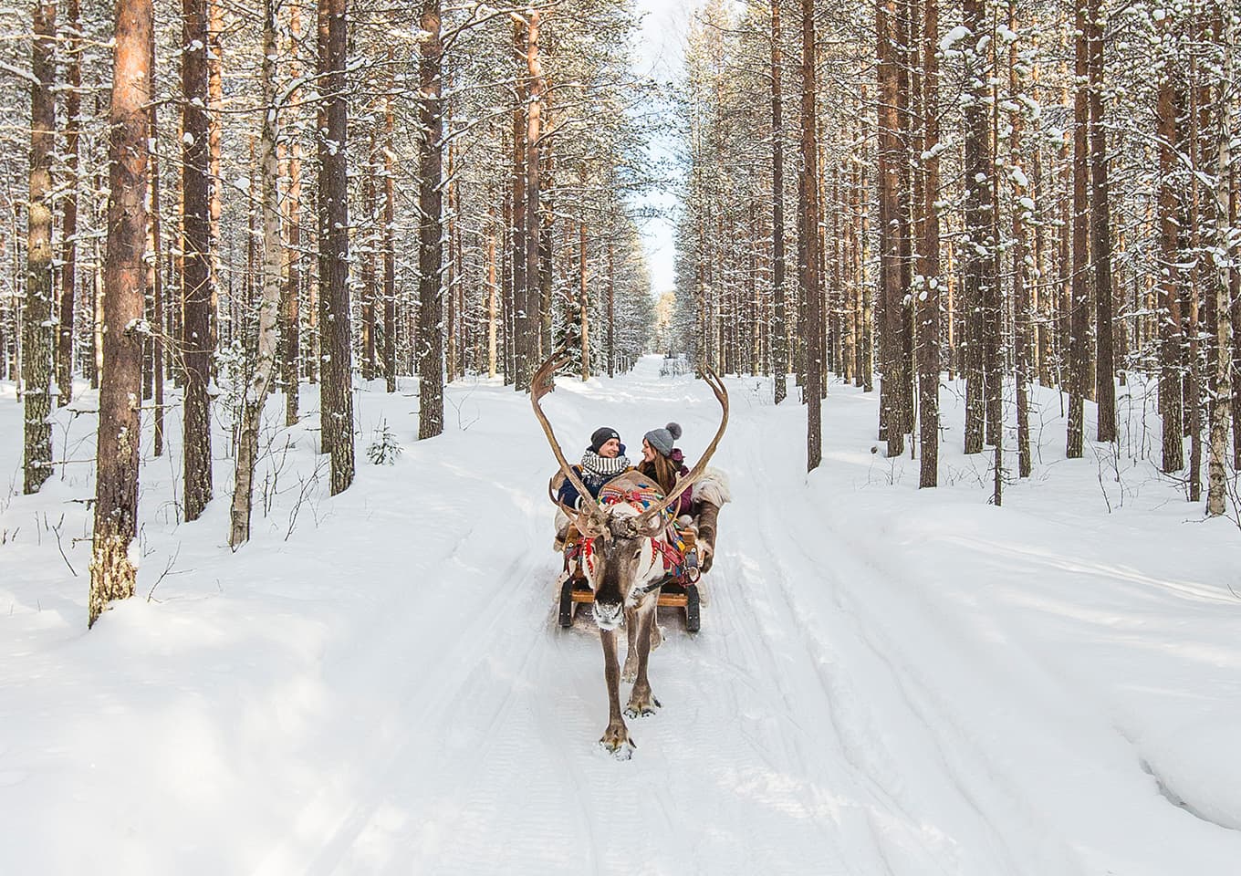 Reindeer sleigh