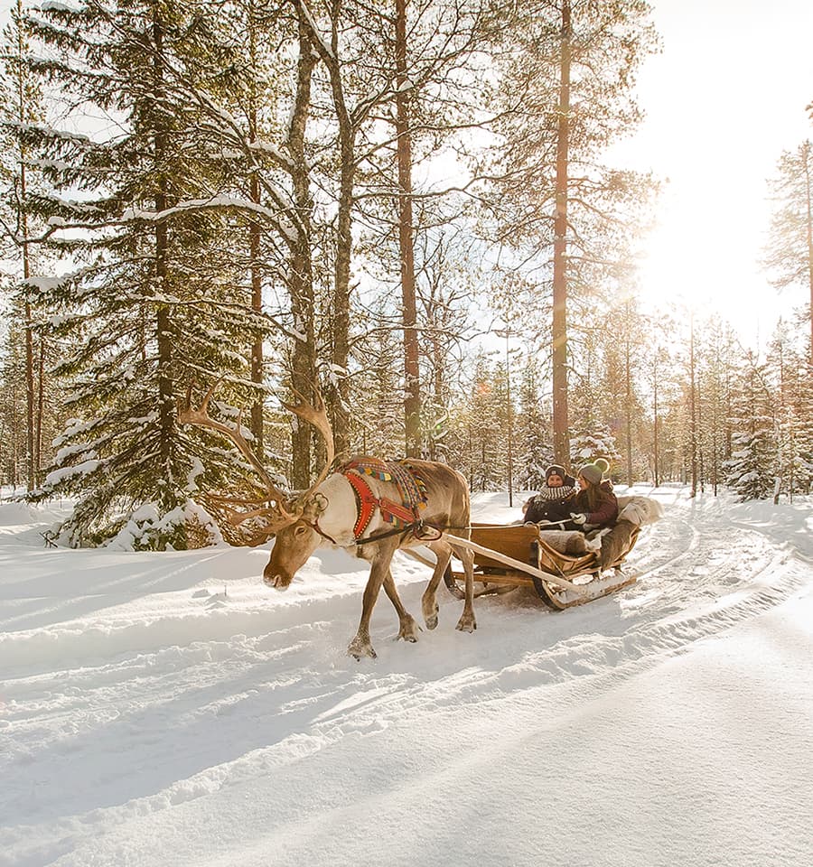 Reindeer sleigh