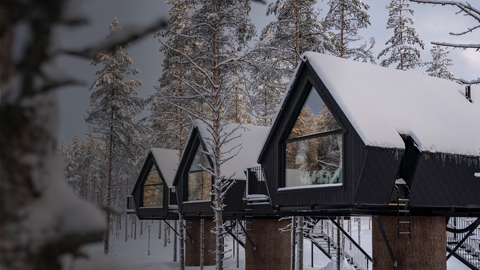 Aurora Treehouses raised among snowy pines in the daylight