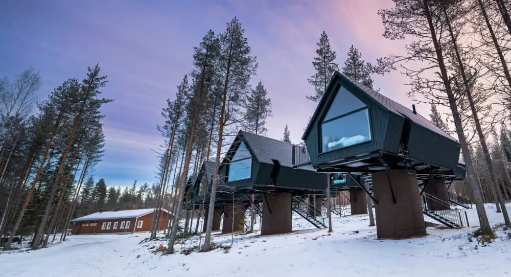 Aurora Treehouses raised among snowy pines in the daylight