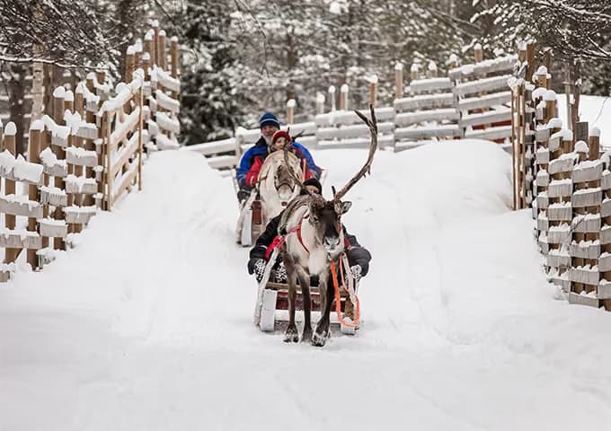 A reindeer draws a sleigh carrying two guests along a snow-banked track between wooden fences