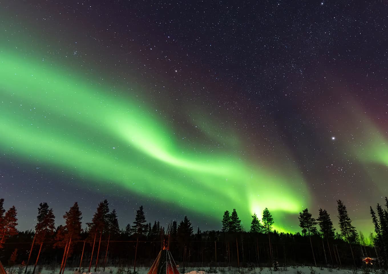 A bright green aurora curtain sweeps above silhouetted pines and a lavvu tent lit by a fire at night
