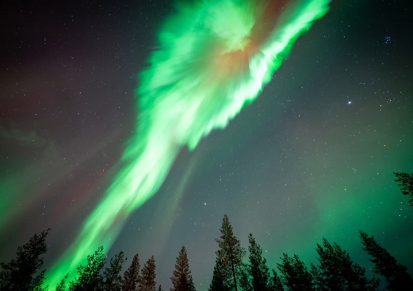 A swirling burst of green aurora with red edges fills the sky directly overhead, framed by treetops