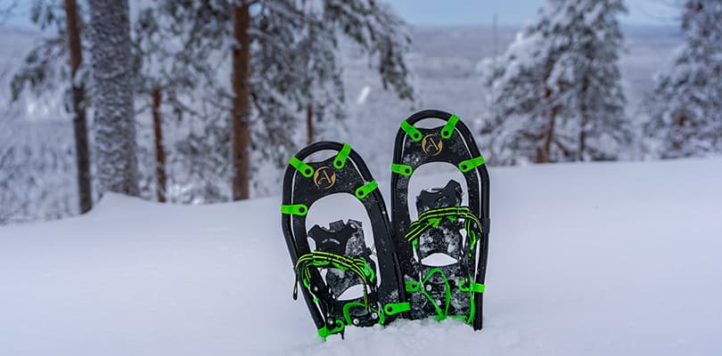 Snowshoes