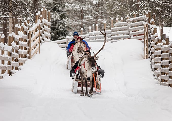 Reindeers