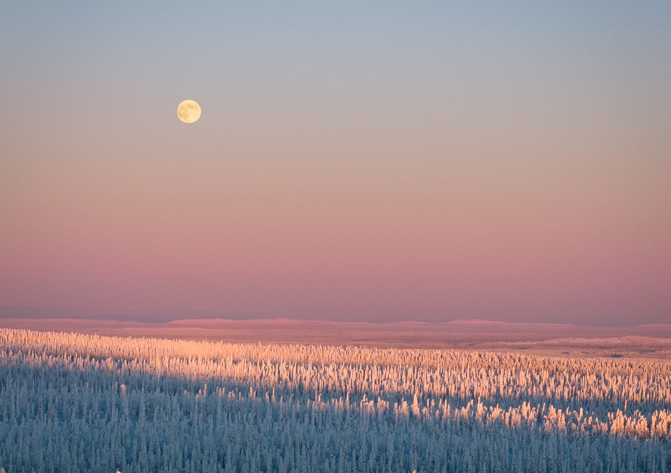 Riisitunturi National park