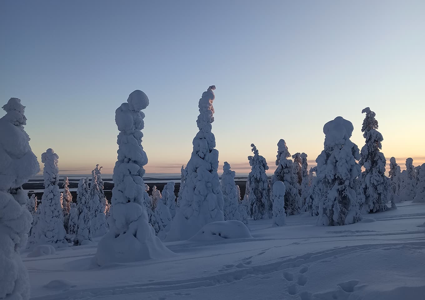 Riisitunturi National park