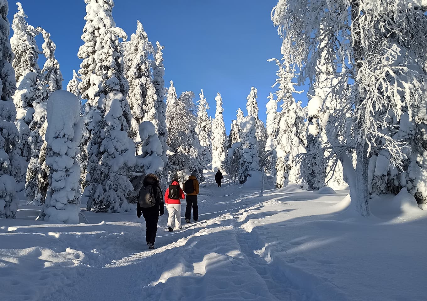 Riisitunturi National park