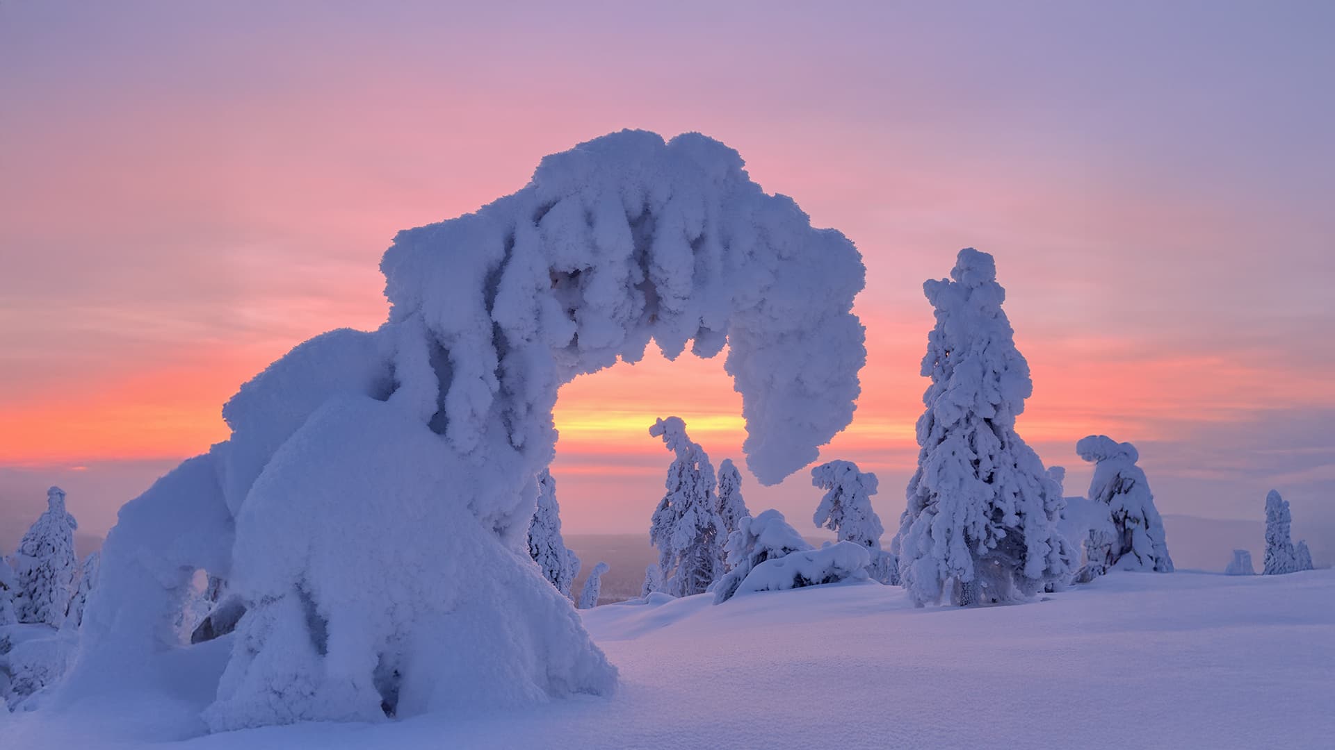 Riisitunturi National park