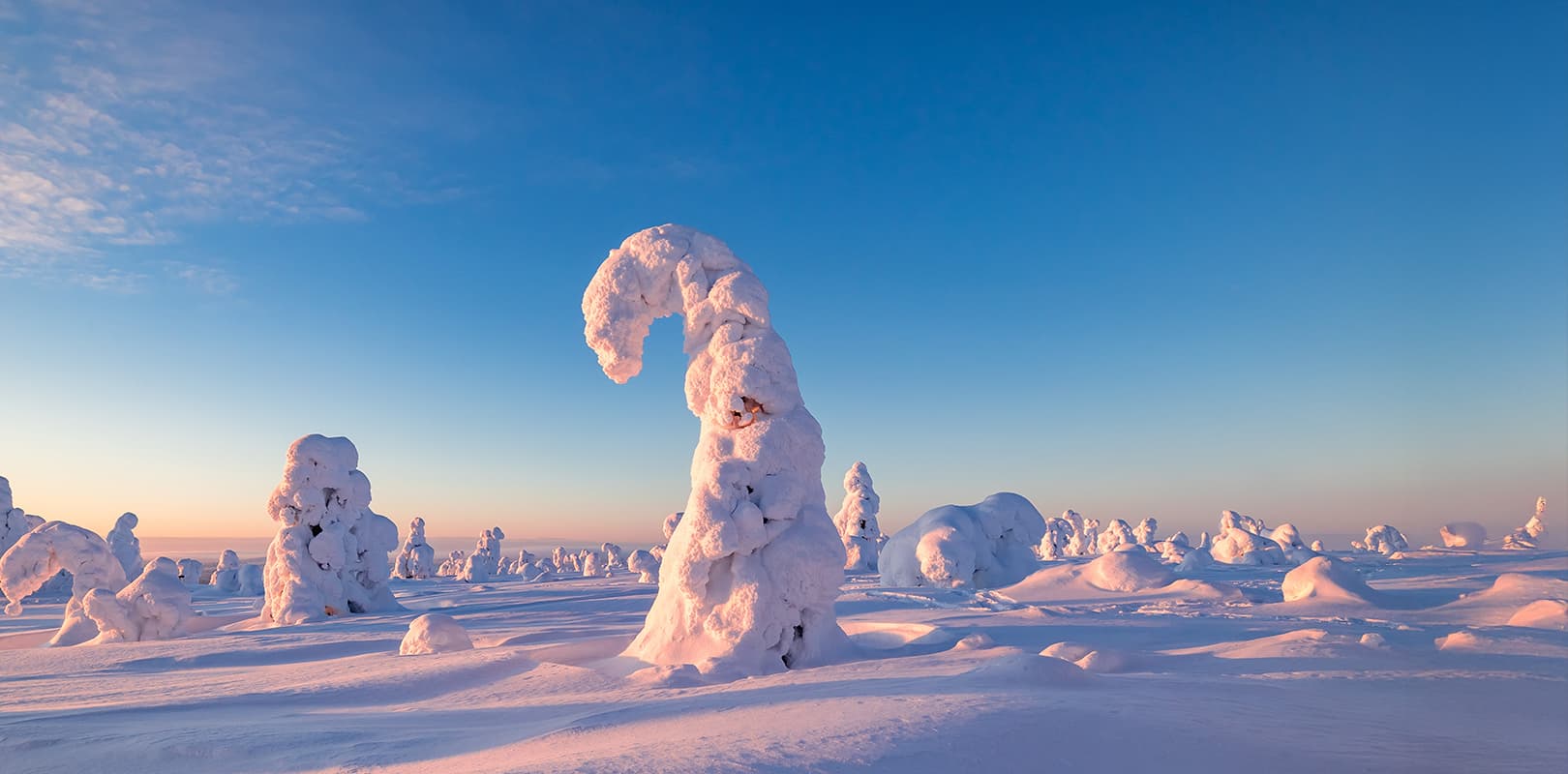 Riisitunturi National park