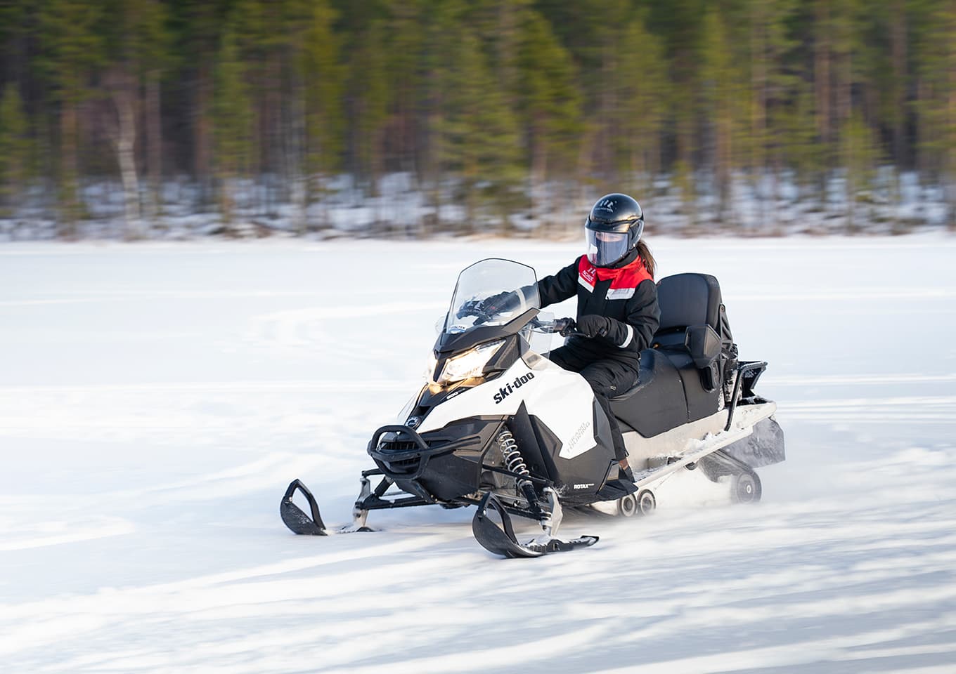 Snowmobiles
