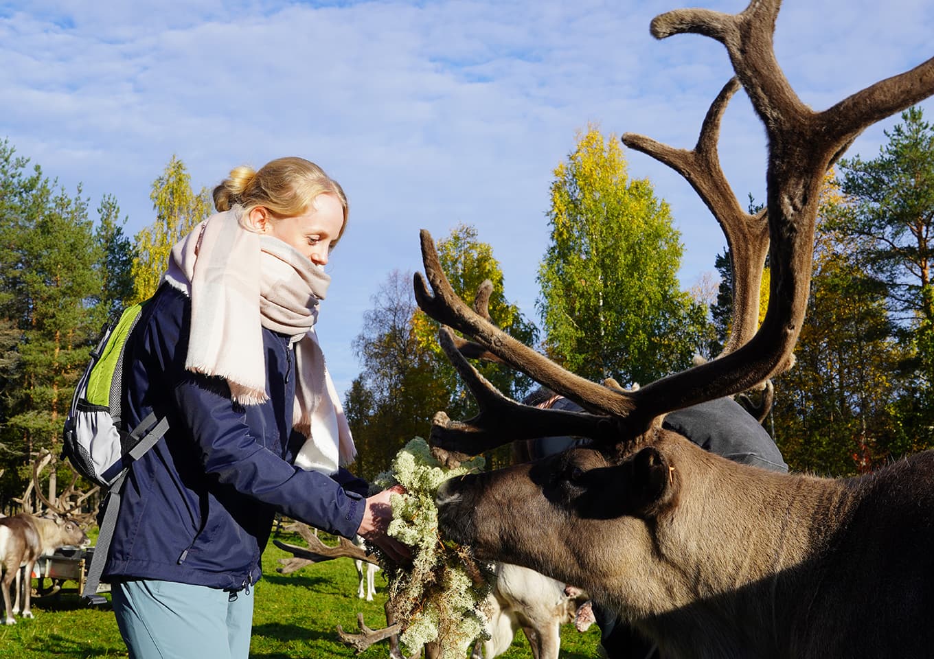 Reindeers