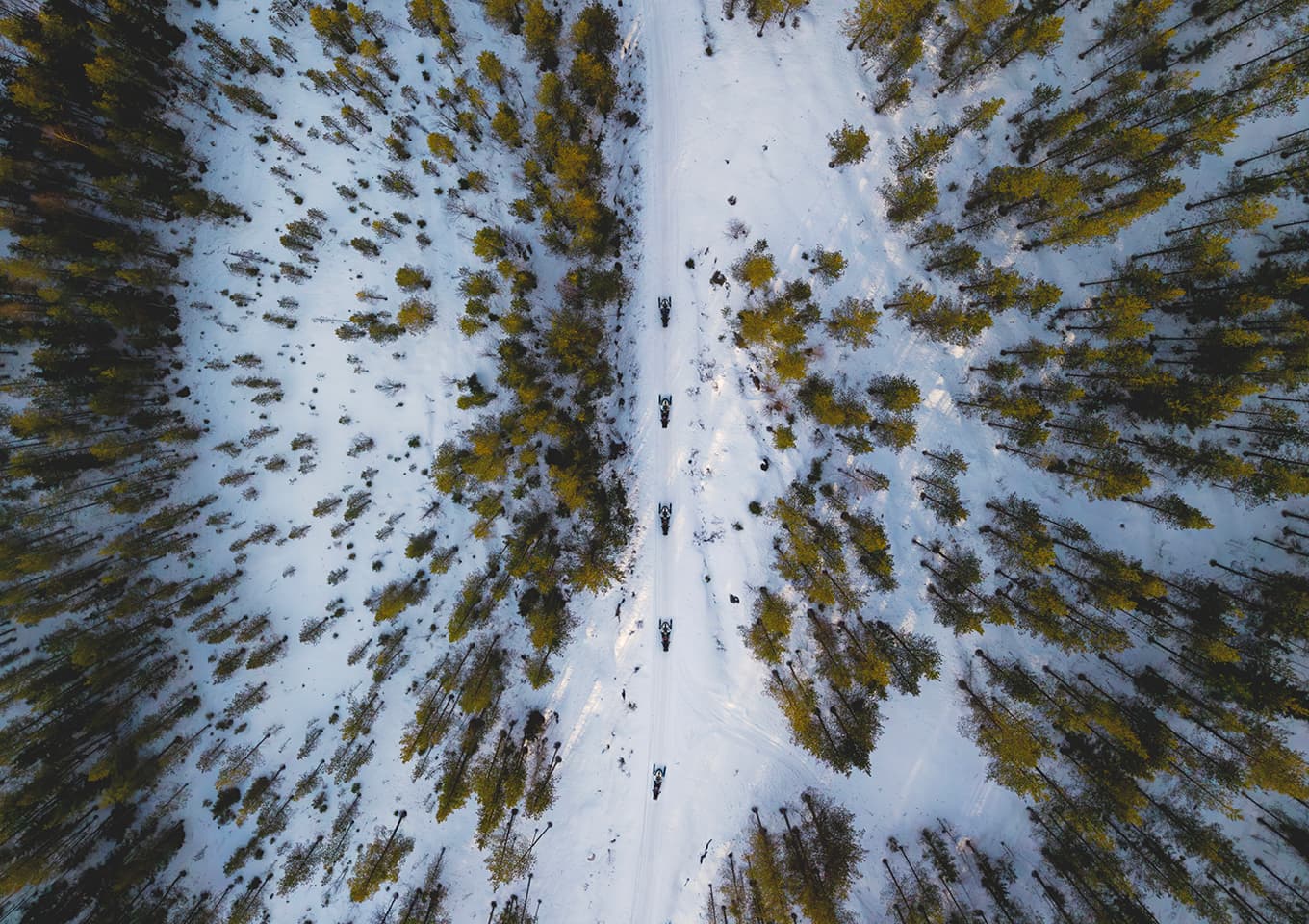 Snowmobiles