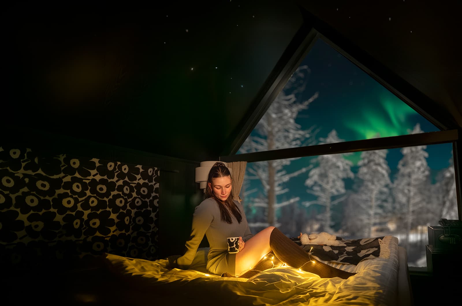 In the treehouse with northern lights